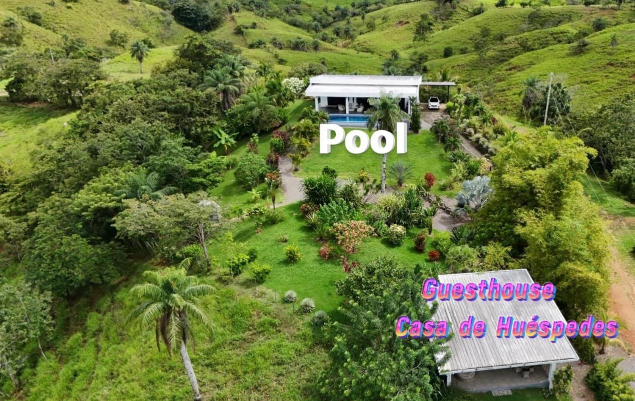 Finca Colibri Boca Chica Εξωτερικό φωτογραφία