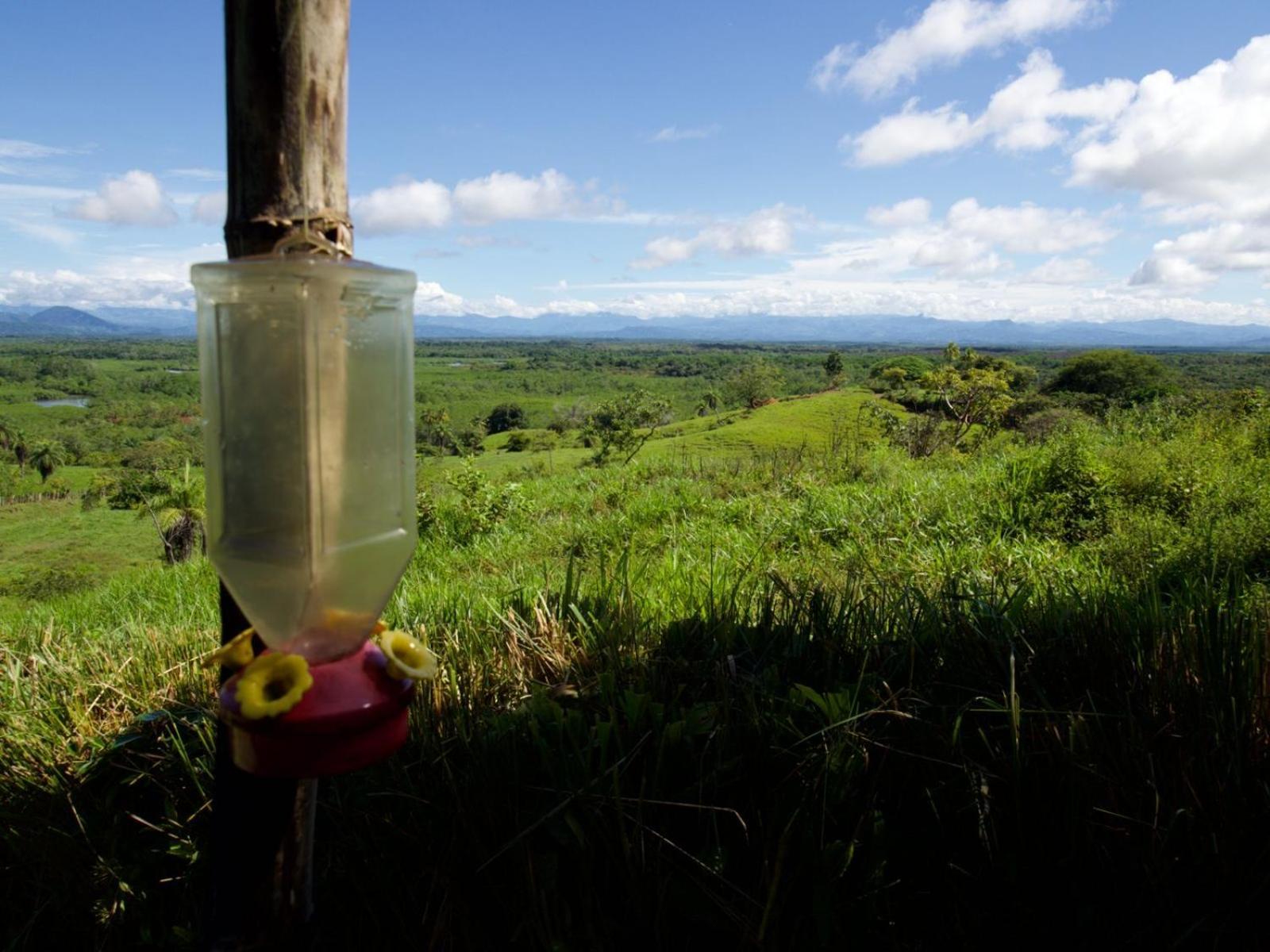 Finca Colibri Boca Chica Εξωτερικό φωτογραφία